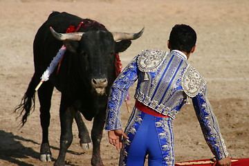 Image showing Young bullfighter