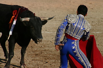 Image showing Young bullfighter