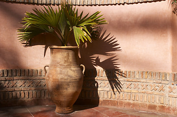 Image showing Garden urn with palm leaves