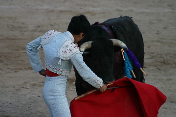 Image showing Young bullfighter