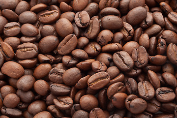 Image showing Coffee beans