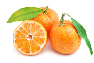 Image showing Tangerines