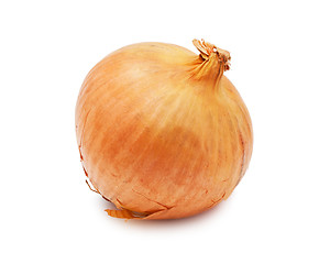 Image showing Onion