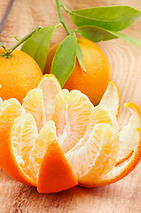 Image showing Tangerine with Segments