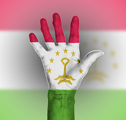 Image showing Palm of a woman hand, painted with flag