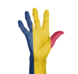 Image showing Palm of a woman hand, painted with flag