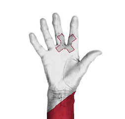 Image showing Palm of a woman hand, painted with flag