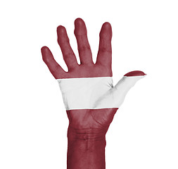 Image showing Palm of a woman hand, painted with flag