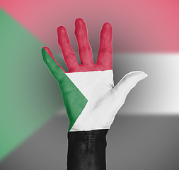 Image showing Palm of a woman hand, painted with flag