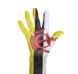 Image showing Palm of a woman hand, painted with flag