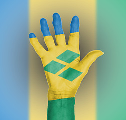 Image showing Palm of a woman hand, painted with flag