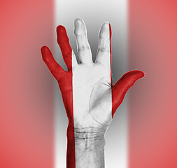 Image showing Palm of a woman hand, painted with flag