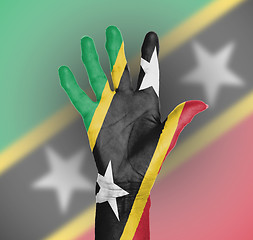 Image showing Palm of a woman hand, painted with flag