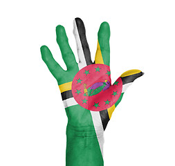 Image showing Palm of a woman hand, painted with flag