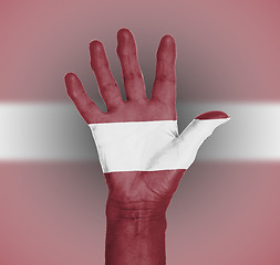 Image showing Palm of a woman hand, painted with flag