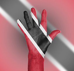 Image showing Palm of a woman hand, painted with flag