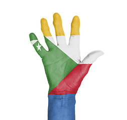 Image showing Palm of a woman hand, painted with flag