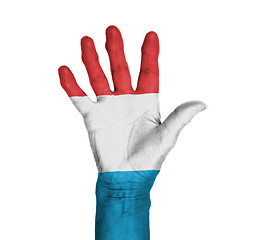 Image showing Palm of a woman hand, painted with flag