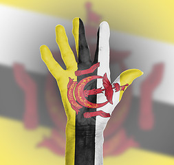 Image showing Palm of a woman hand, painted with flag