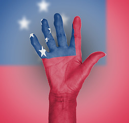 Image showing Palm of a woman hand, painted with flag