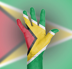 Image showing Palm of a woman hand, painted with flag