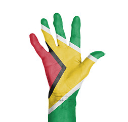 Image showing Palm of a woman hand, painted with flag