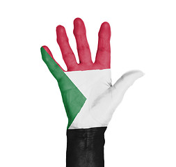 Image showing Palm of a woman hand, painted with flag