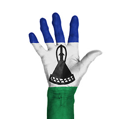 Image showing Palm of a woman hand, painted with flag