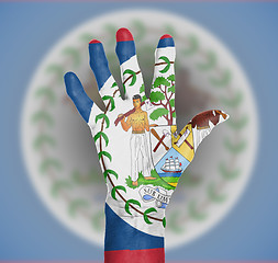 Image showing Palm of a woman hand, painted with flag