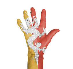 Image showing Palm of a woman hand, painted with flag