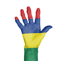 Image showing Palm of a woman hand, painted with flag