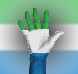 Image showing Palm of a woman hand, painted with flag