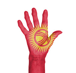 Image showing Palm of a woman hand, painted with flag