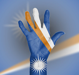 Image showing Palm of a woman hand, painted with flag