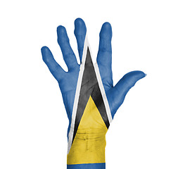 Image showing Palm of a woman hand, painted with flag