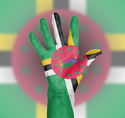 Image showing Palm of a woman hand, painted with flag