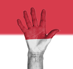 Image showing Palm of a woman hand, painted with flag