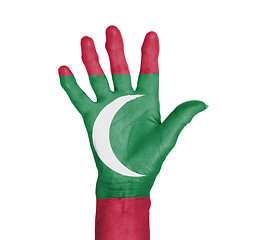 Image showing Palm of a woman hand, painted with flag