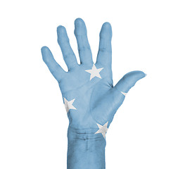 Image showing Palm of a woman hand, painted with flag