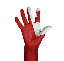 Image showing Palm of a woman hand, painted with flag