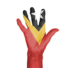 Image showing Palm of a woman hand, painted with flag