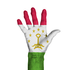 Image showing Palm of a woman hand, painted with flag