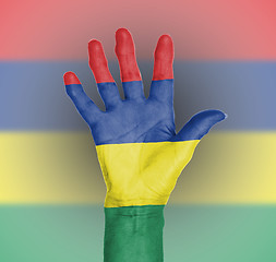 Image showing Palm of a woman hand, painted with flag