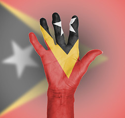 Image showing Palm of a woman hand, painted with flag