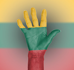 Image showing Palm of a woman hand, painted with flag