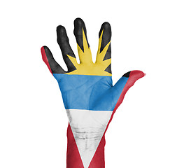 Image showing Palm of a woman hand, painted with flag