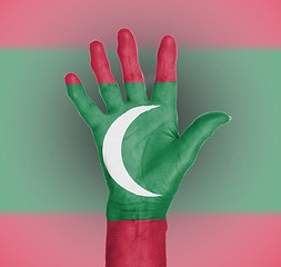 Image showing Palm of a woman hand, painted with flag