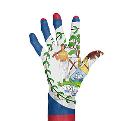 Image showing Palm of a woman hand, painted with flag