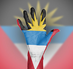 Image showing Palm of a woman hand, painted with flag