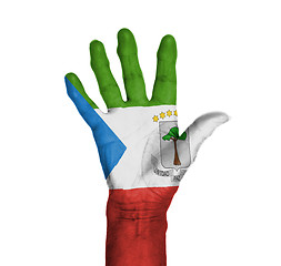 Image showing Palm of a woman hand, painted with flag